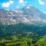 Daire Baergsunna-3 By Interhome Grindelwald