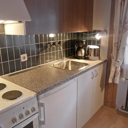 Apartment Baergsunna-3 By Interhome Grindelwald