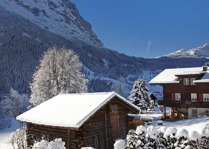 Baergsunna-3 By Interhome Grindelwald