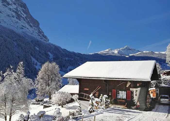 Baergsunna-3 By Interhome Γκρίντελβαλντ