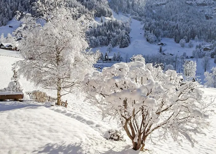 Baergsunna-3 By Interhome Lejlighed