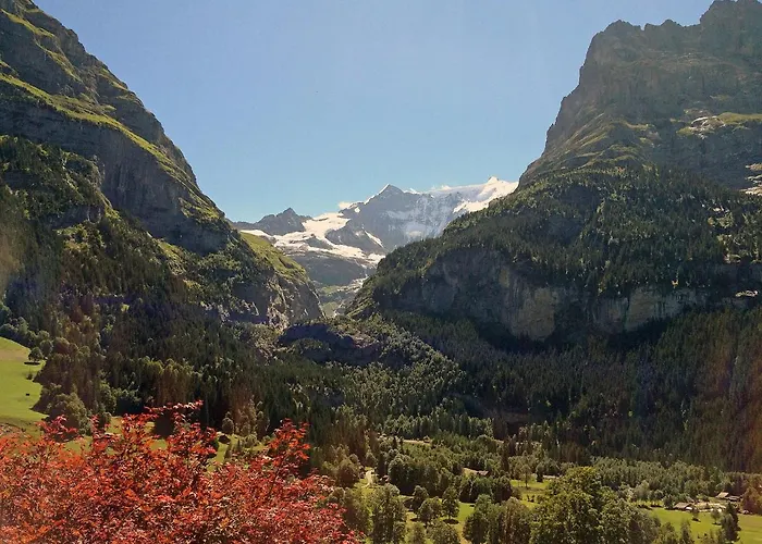 Baergsunna-3 By Interhome Apartmán Grindelwald